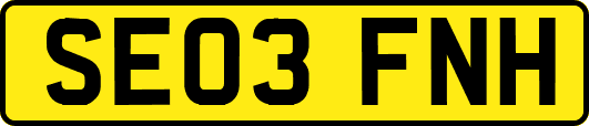 SE03FNH