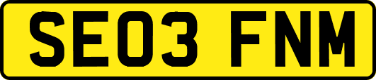 SE03FNM