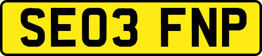 SE03FNP