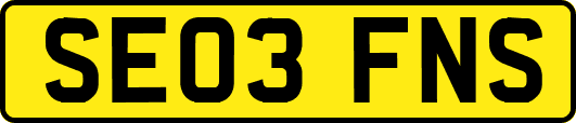 SE03FNS