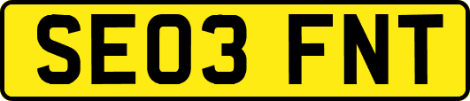 SE03FNT