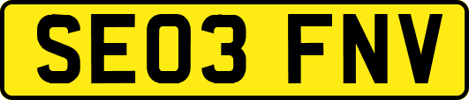 SE03FNV