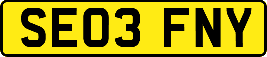 SE03FNY