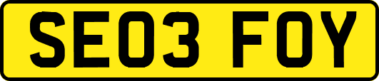 SE03FOY