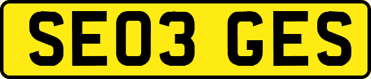 SE03GES