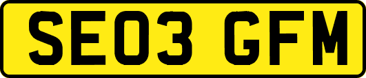 SE03GFM