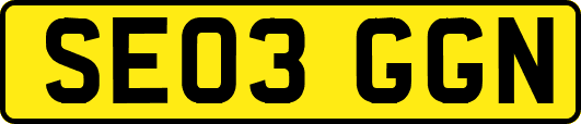 SE03GGN