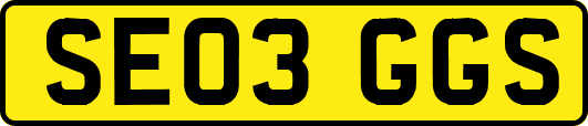SE03GGS