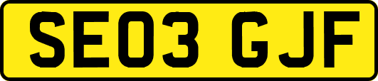 SE03GJF