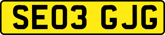 SE03GJG