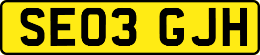 SE03GJH