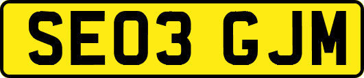 SE03GJM