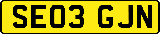 SE03GJN
