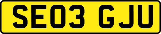 SE03GJU