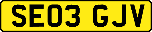 SE03GJV