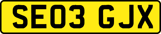 SE03GJX