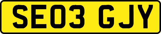 SE03GJY
