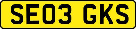 SE03GKS