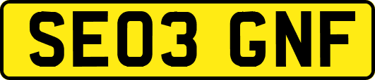 SE03GNF