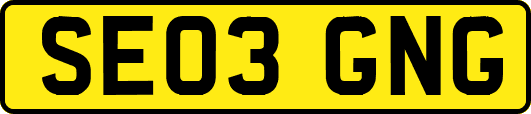 SE03GNG