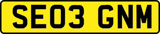 SE03GNM