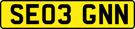 SE03GNN