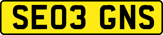 SE03GNS