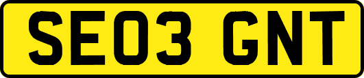 SE03GNT
