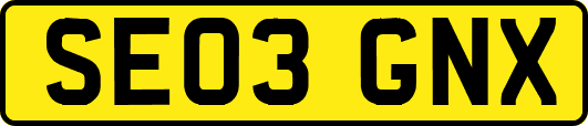 SE03GNX