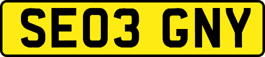 SE03GNY