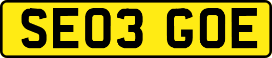 SE03GOE