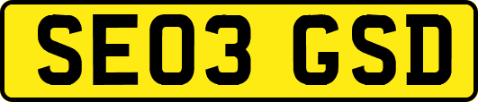 SE03GSD