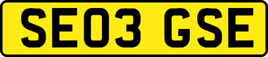 SE03GSE