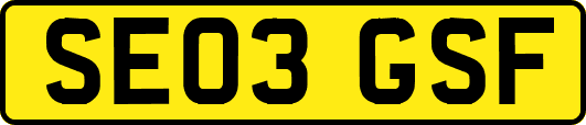 SE03GSF
