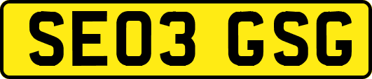SE03GSG