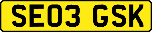 SE03GSK