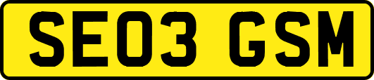 SE03GSM