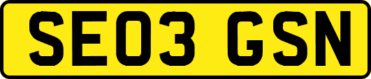 SE03GSN