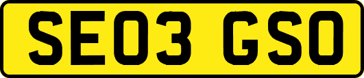 SE03GSO