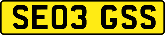 SE03GSS