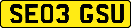 SE03GSU