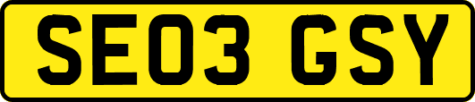 SE03GSY
