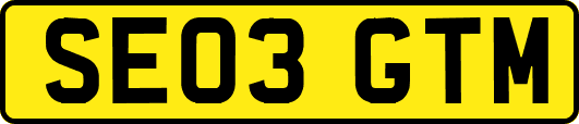 SE03GTM