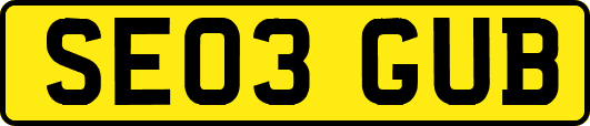 SE03GUB