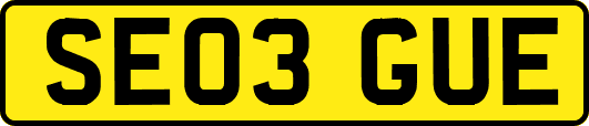 SE03GUE