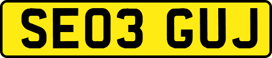 SE03GUJ