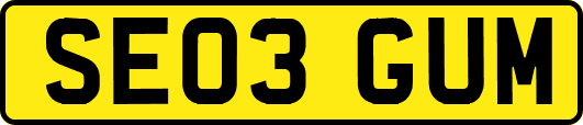 SE03GUM