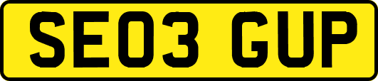 SE03GUP