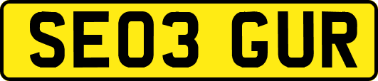 SE03GUR