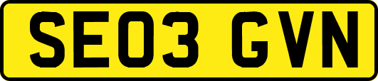SE03GVN